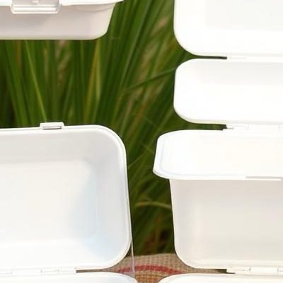 WhatsApp Image 2026-01-30 at 11.55.51 AM