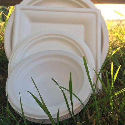 WhatsApp Image 2026-01-30 at 11.55.54 AM