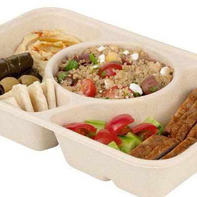 WhatsApp Image 2026-01-30 at 11.55.55 AM (1)