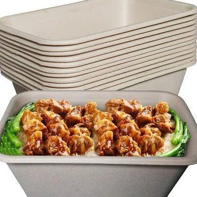 WhatsApp Image 2026-01-30 at 11.55.58 AM